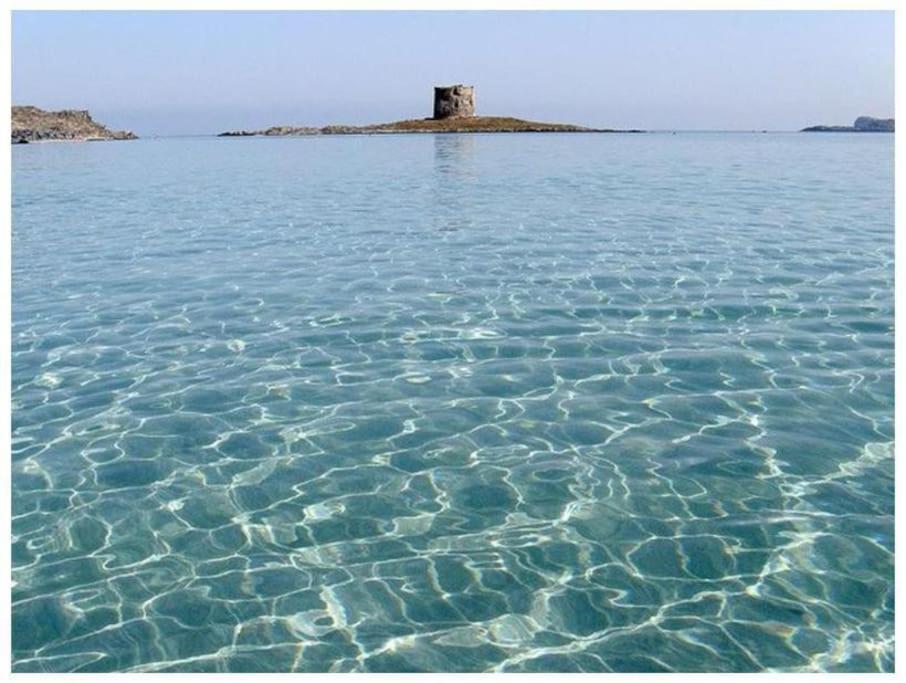 L' Elicriso, A Pochi Passi Dal Mare Con Giardino Privato - The Elicriso, A Few Meters From The Sea, With Private Garden Apartment Stintino Exterior foto