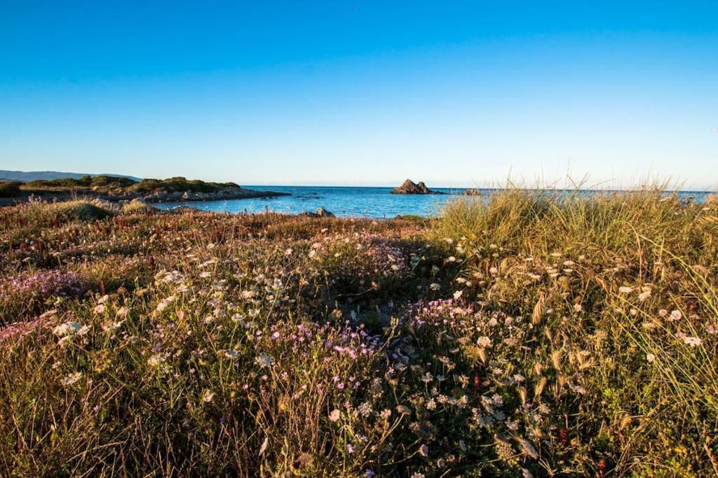 L' Elicriso, A Pochi Passi Dal Mare Con Giardino Privato - The Elicriso, A Few Meters From The Sea, With Private Garden Apartment Stintino Exterior foto