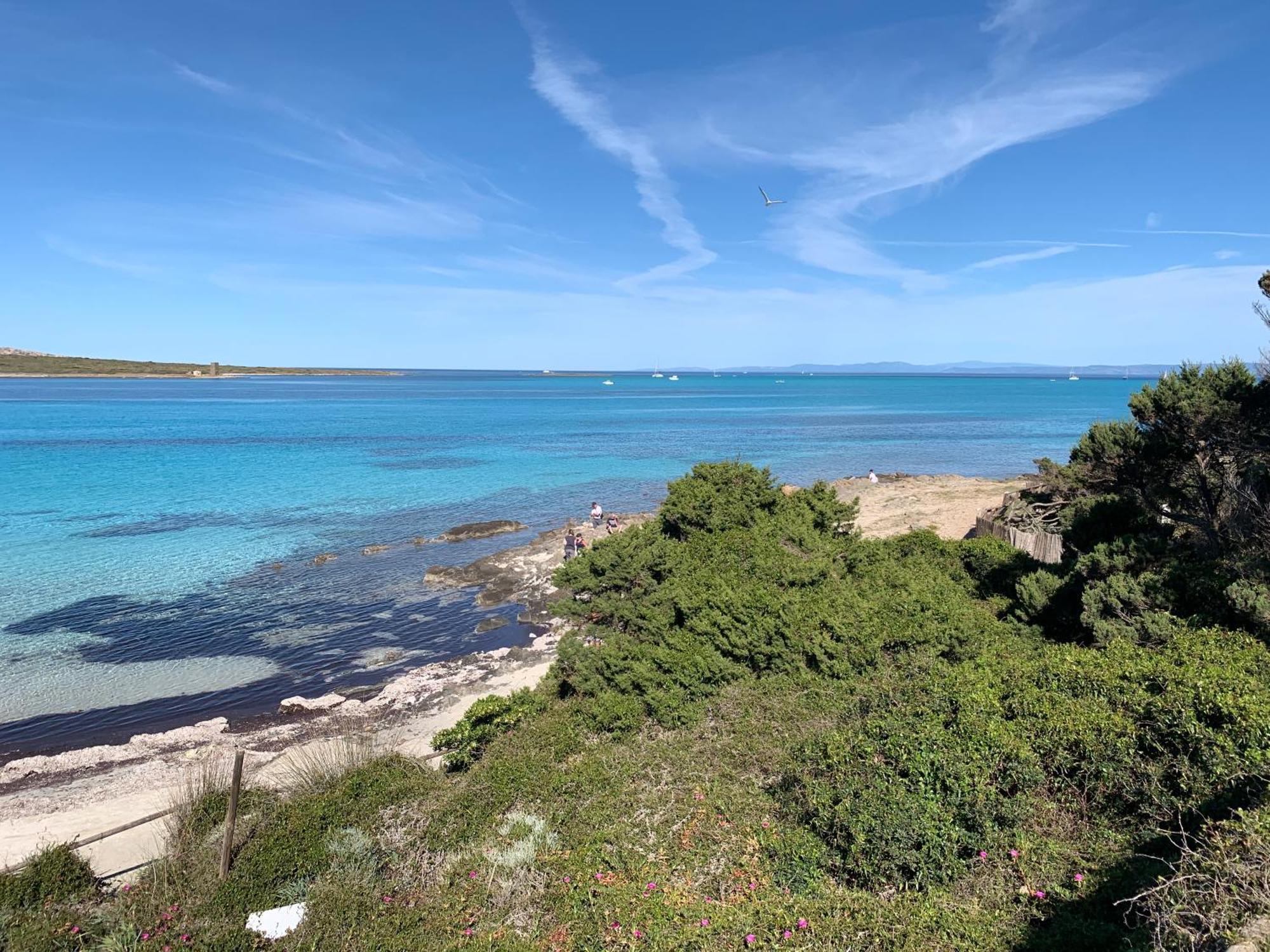 L' Elicriso, A Pochi Passi Dal Mare Con Giardino Privato - The Elicriso, A Few Meters From The Sea, With Private Garden Apartment Stintino Exterior foto