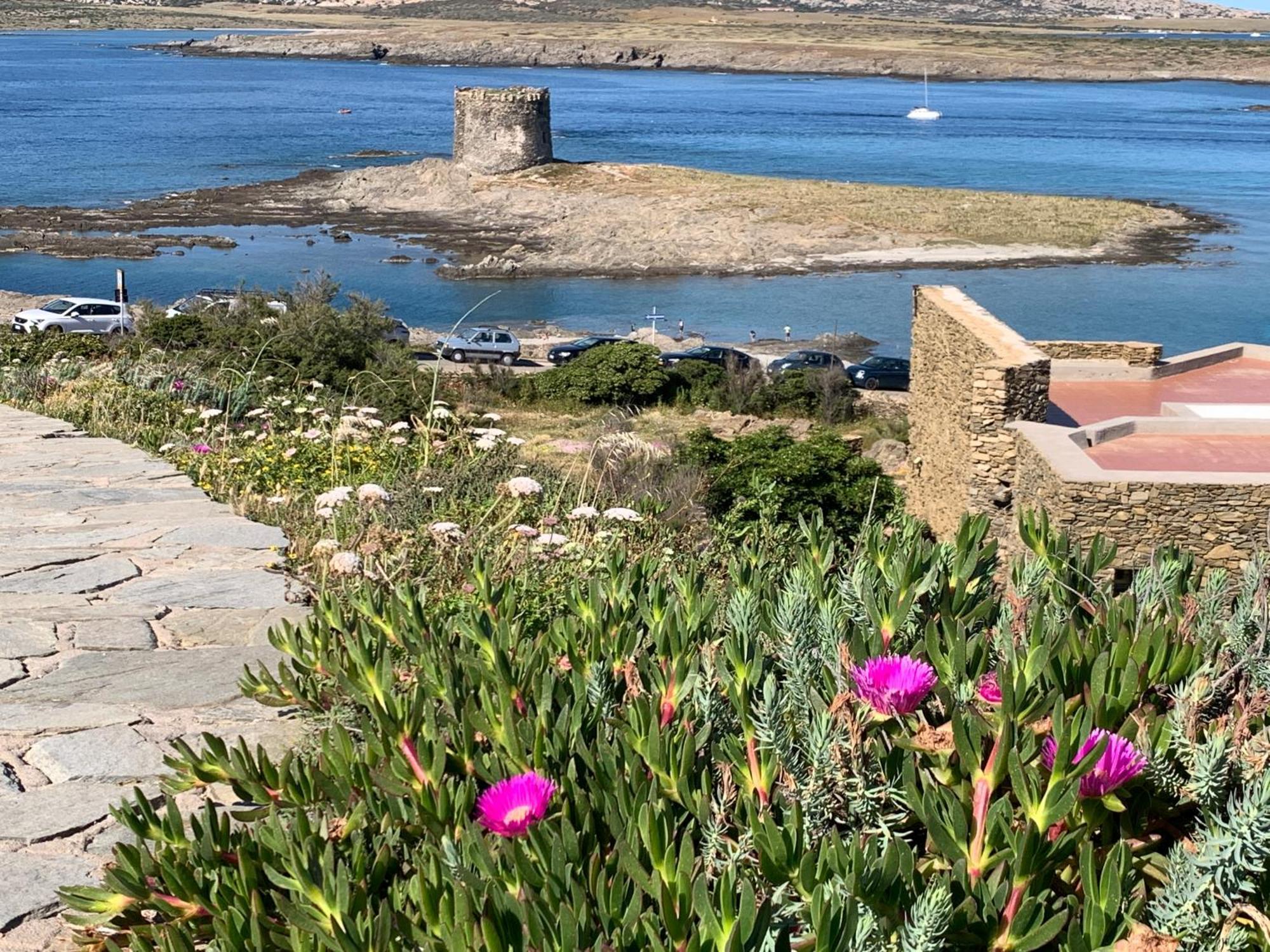 L' Elicriso, A Pochi Passi Dal Mare Con Giardino Privato - The Elicriso, A Few Meters From The Sea, With Private Garden Apartment Stintino Exterior foto